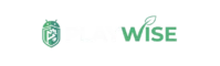 playwise logo