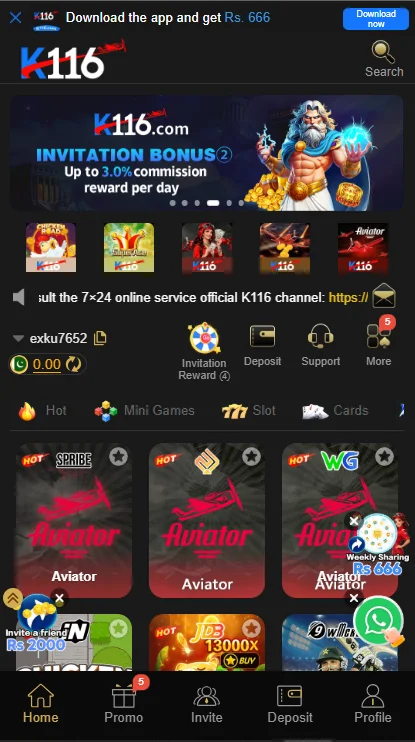 K116 Game